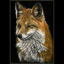 fox,
                      wildlife, Underwood