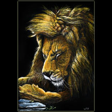 lion, wildlife, scratchboard, Underwood