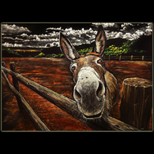 donkey,
                landscape, scratchboard, Underwood