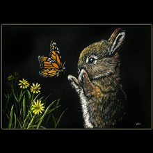 bunny, rabbit, butterfly, scratchboard, Underwood