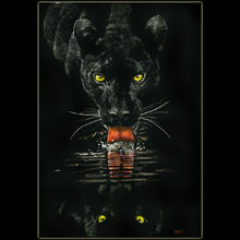 panther, scratchboard, Underwood, drawing
